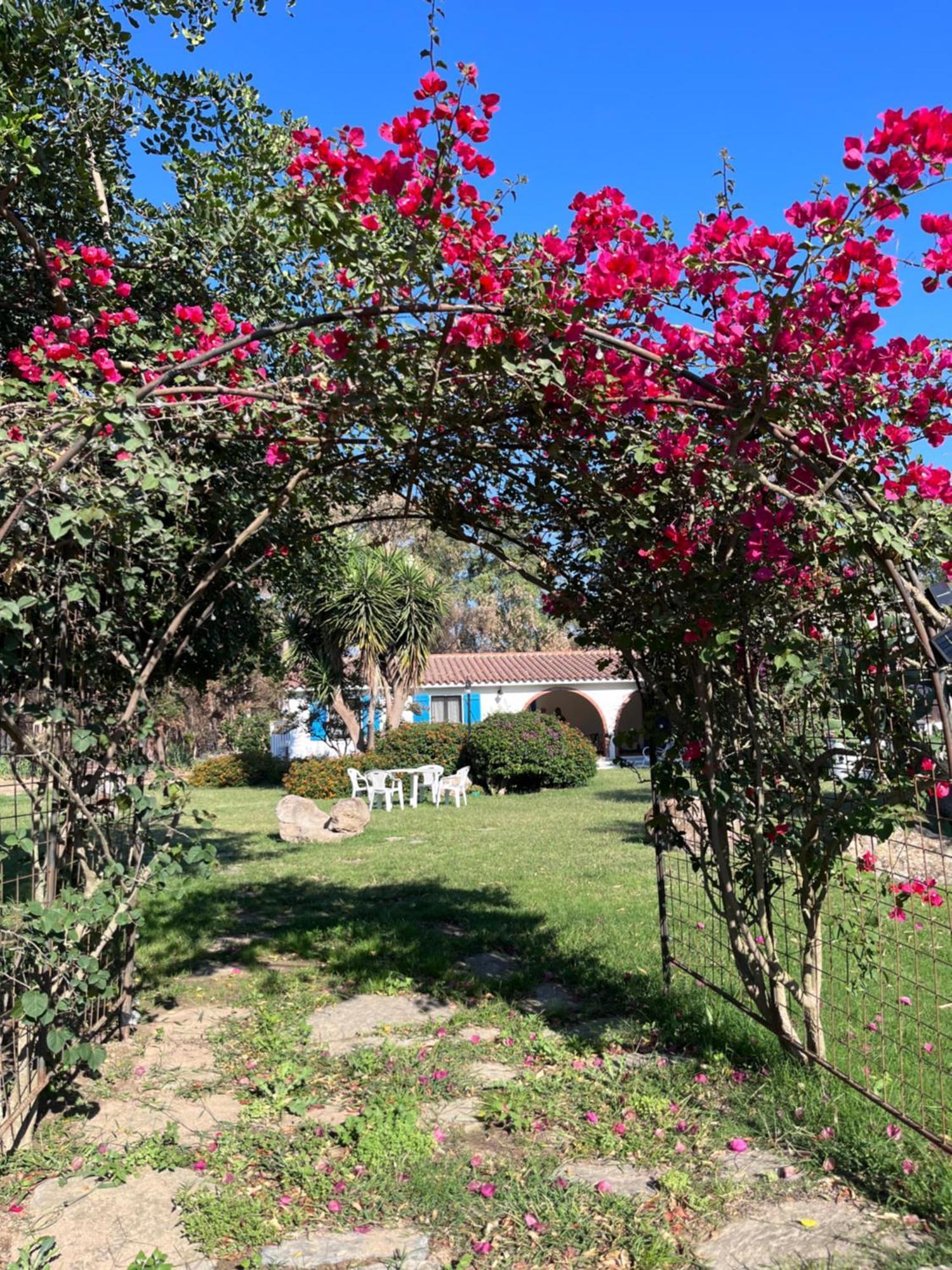 Bidd'E Majori Bed & Breakfast San Priamo Exterior photo